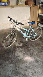 Mountain bike