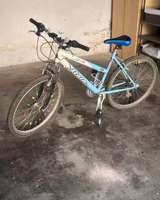 Mountain bike
