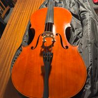 Violoncello