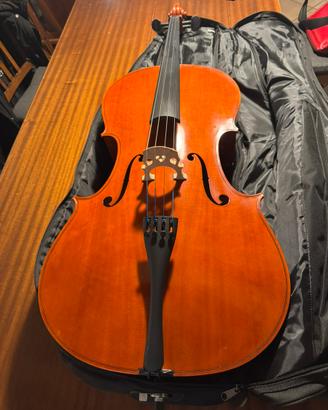 Violoncello