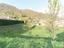 Immagine 7