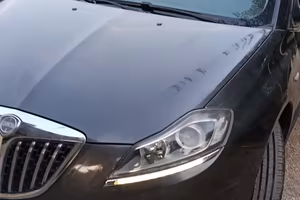 lancia delta 