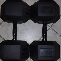 Coppia di Manubri Esagonali da 42,5Kg  Lacertosus