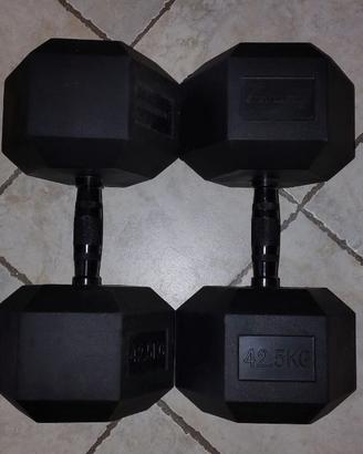 Coppia di Manubri Esagonali da 42,5Kg  Lacertosus