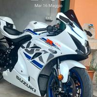 suzuki gsxr 1ooo 