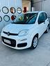 fiat-panda-0-9-twinair-turbo-natural-power-easy