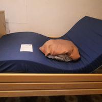 Letto elettrico ortopedico bariatrico una piazza e
