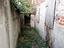 Immagine 30