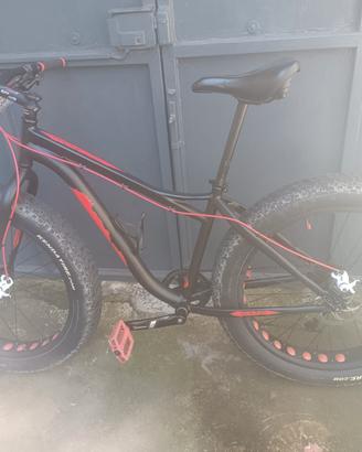 FAT BIKE
