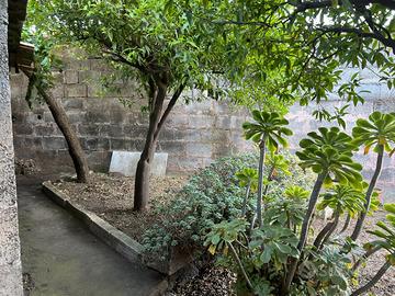 Casa indipendente su piu' livelli-giardino 49-396