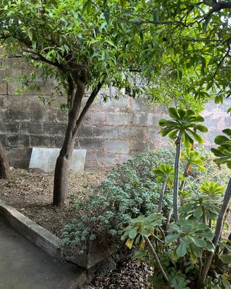 Casa indipendente su piu' livelli-giardino 49-396