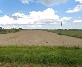 Terreno agricolo a Masiera 3 ettari