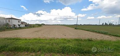 Terreno agricolo a Masiera 3 ettari