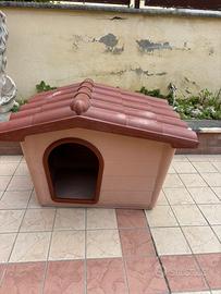 Casa cane