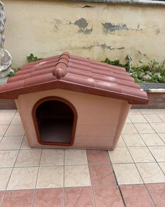 Casa cane