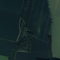 Terreno agricolo Zona Bussolino