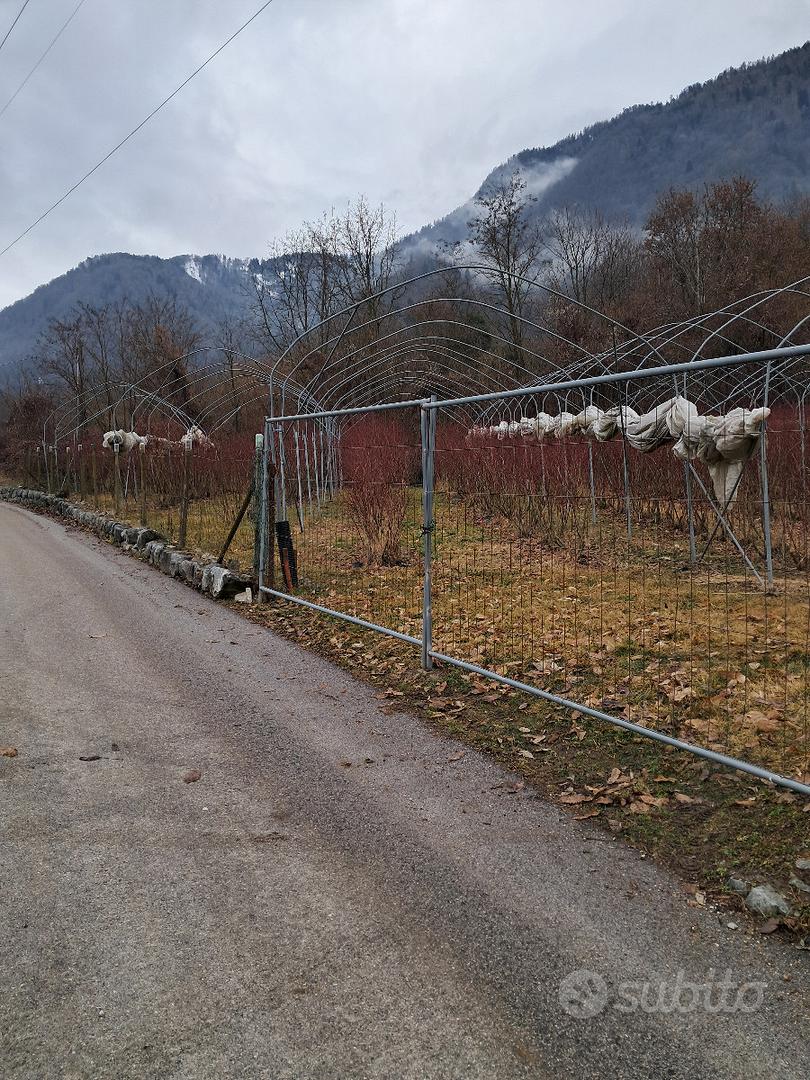 Terreno agricolo Marter - Vista 4