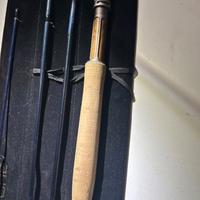 Hydropsyche élite nuova