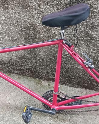 Telaio bicicletta uomo 28
