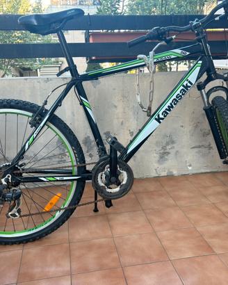 Bicicletta kawasaki