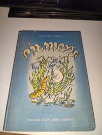 Libro Piumetta Storia Quasi Vera Di Una Piuma