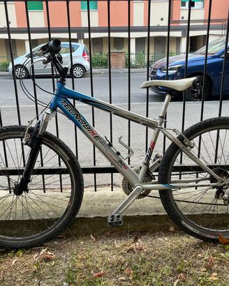 mountain bike ragazzo
