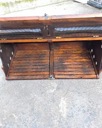 gabbia trasportino per due cani 