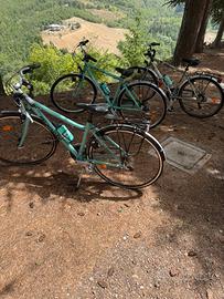 Bici da passeggio Bianchi