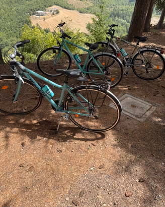 Bici da passeggio Bianchi