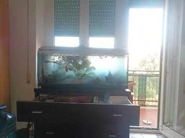 Acquario 120 litri completo