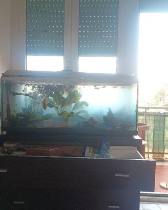 Acquario 120 litri completo