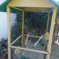 Voliera/ Gabbia  per uccellini 
