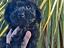 Immagine 14