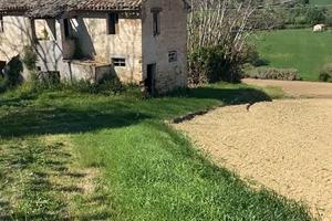 Rustico