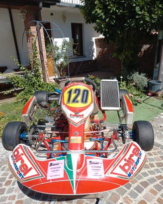 Go kart - telaio kz Birel 125 