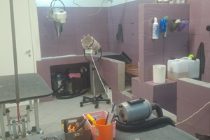 Attività di toelettatura