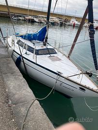 Barca a vela Comet 801 Plus