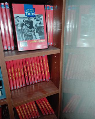 DVD Toto' 