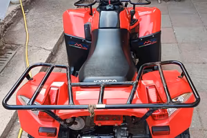 quad 300cc