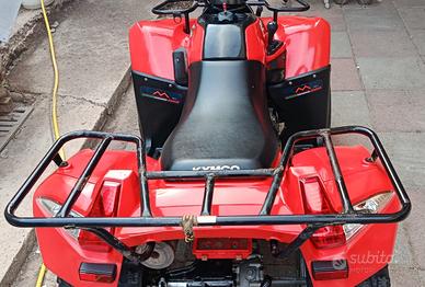quad 300cc
