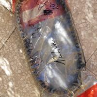 Cinta trazione Majesty o skyliner 250