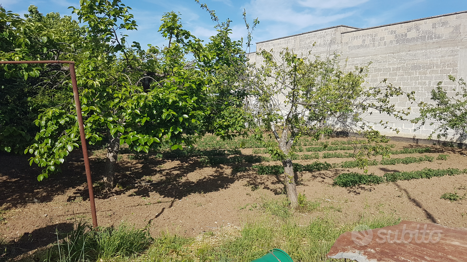 Terreno edificabile Via M. Di Loreto Veglie - Vista 6