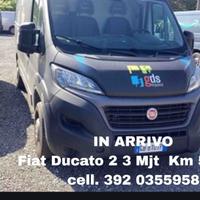 Fiat Ducato 33 2.3Mjt(GARANTITA-IVA INCL)