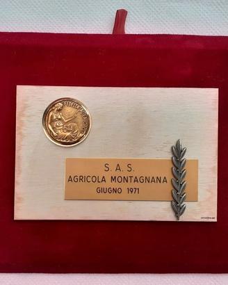 Targa Commemorativa Fedeltà al Lavoro