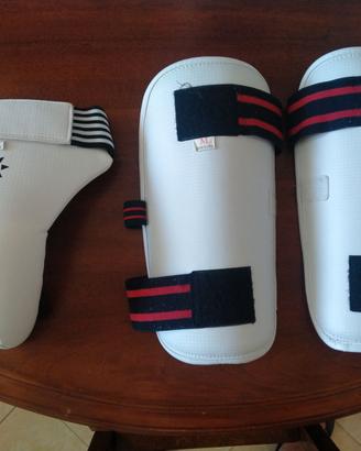Protezioni taekwondo