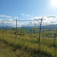 Terreno agricolo panoramico