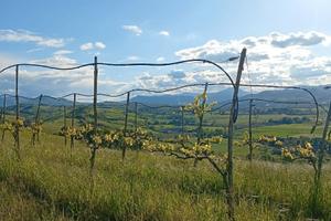 Terreno agricolo panoramico
