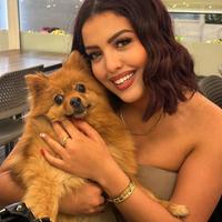 Collaborazione come Social Media Manager