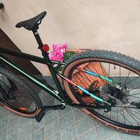 Bici MTB front Bergamont Revox 8 