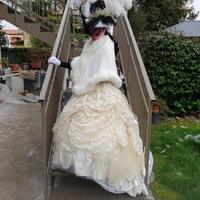 vestito di carnevale stile veneziano